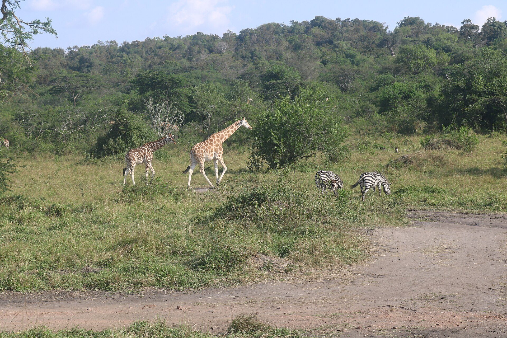 Lake Mburo National Park